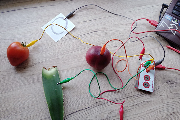 makey makey